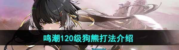 《鸣潮》120级狗熊打法介绍